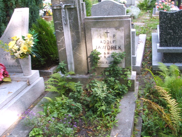 Zdjęcie grobu Adolf Jaworek